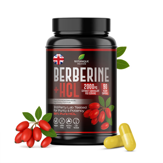 Berberine HCL 2000mg – 90 Vegan Capsules