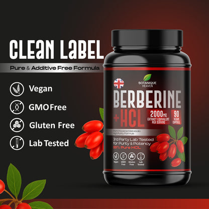 Berberine HCL 2000mg – 90 Vegan Capsules