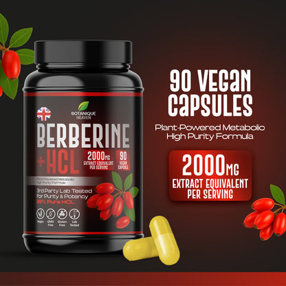 Berberine HCL 2000mg – 90 Vegan Capsules