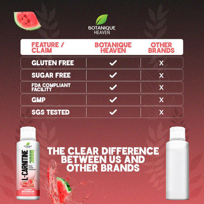 L-Carnitine 3000 Liquid + Vitamins (Watermelon)