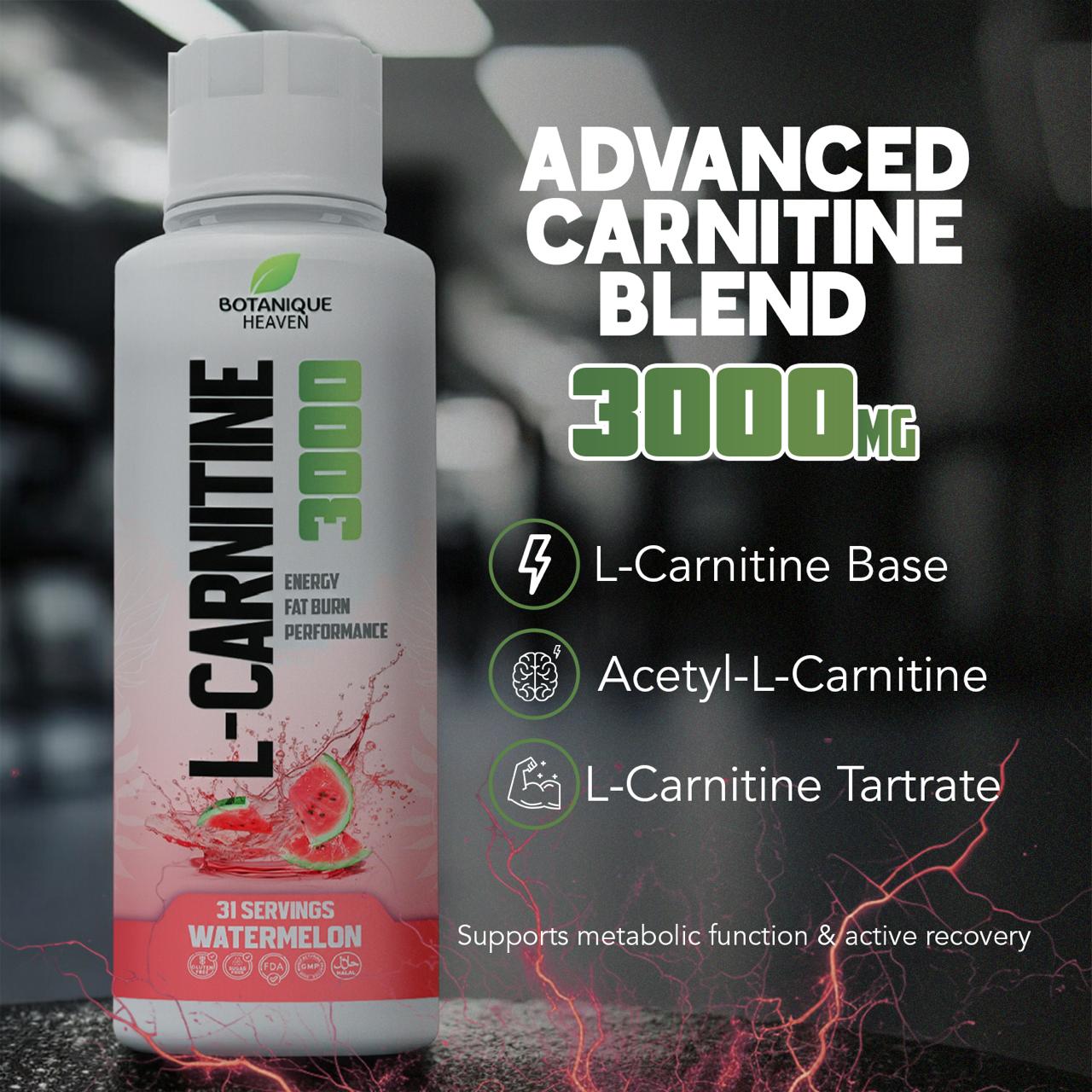 L-Carnitine 3000 Liquid + Vitamins (Watermelon)