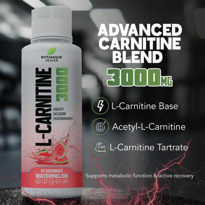 L-Carnitine 3000 Liquid + Vitamins (Watermelon)