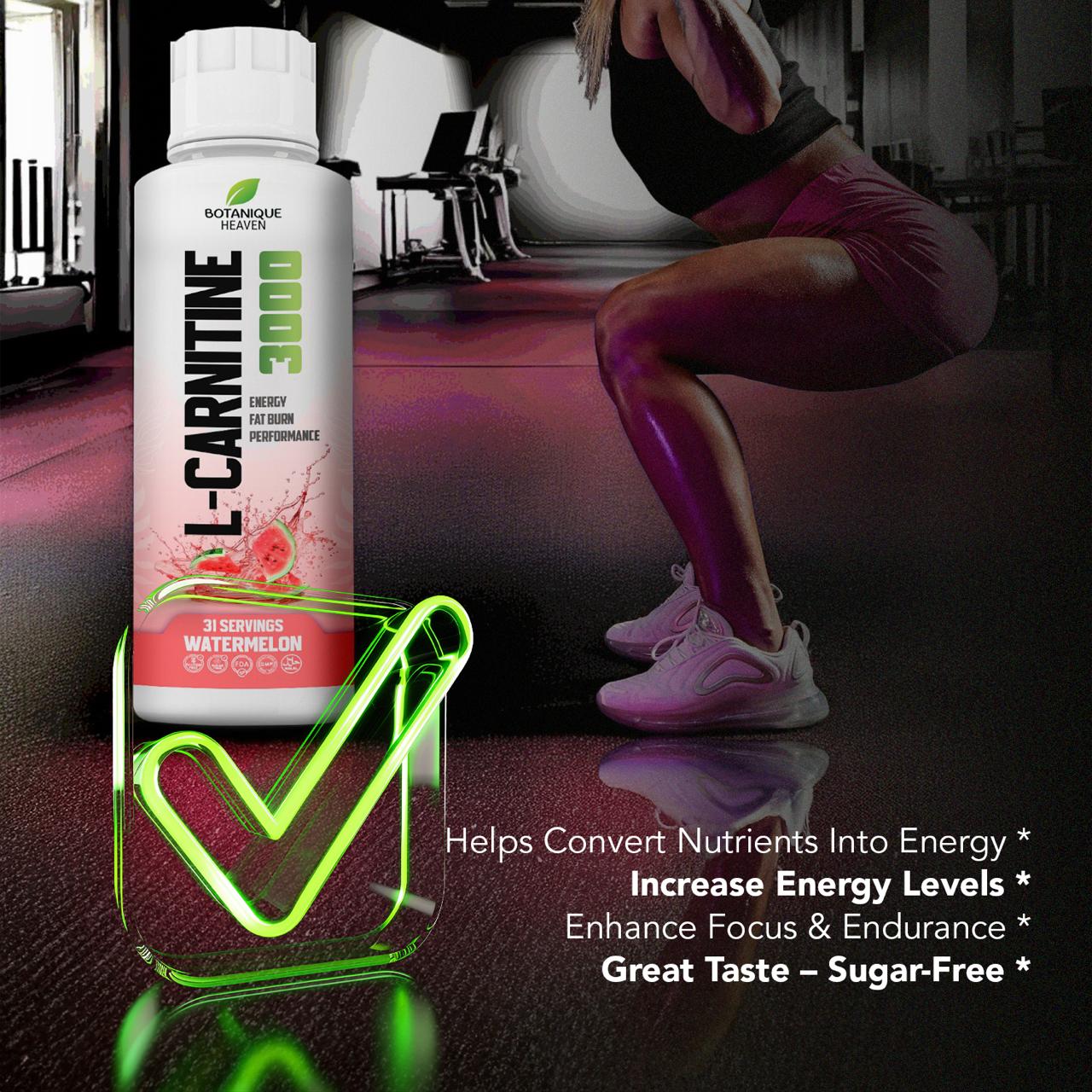 L-Carnitine 3000 Liquid + Vitamins (Watermelon)