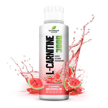 L-Carnitine 3000 Liquid + Vitamins (Watermelon)