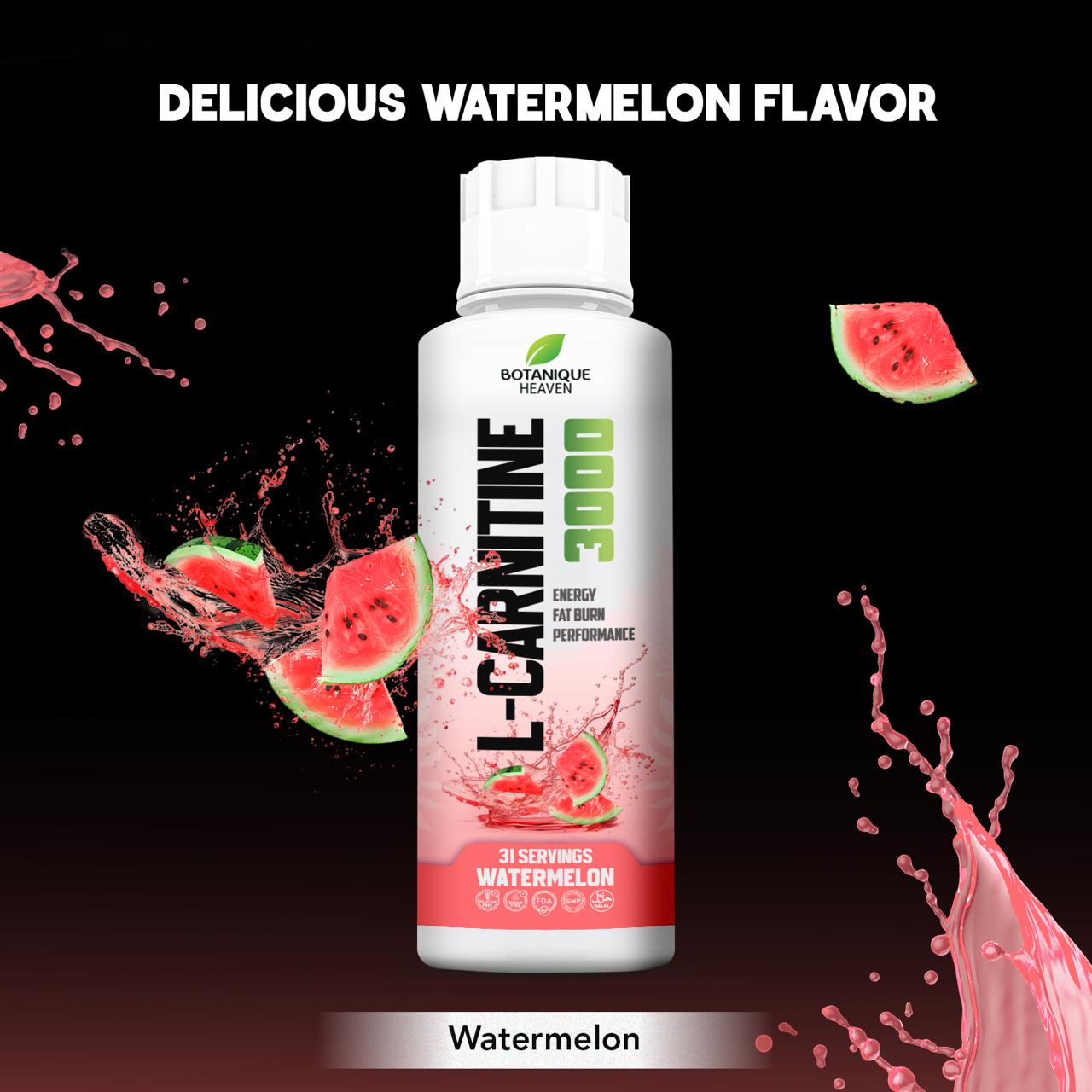 L-Carnitine 3000 Liquid + Vitamins (Watermelon)
