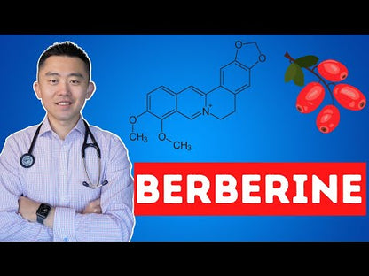 Berberine HCL 2000mg – 90 Vegan Capsules